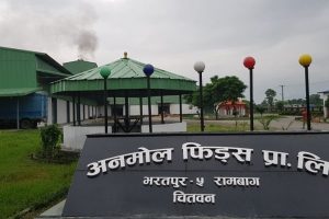 गुणस्तर मापदण्ड पुरा नगरेपछि चितवनकाे अनमोल फिड्स सहित आठ उद्योगविरुद्ध कारबाही