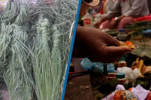 आज कुशे औँसी, बाबुको मुख हेर्ने दिन