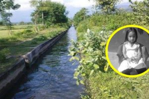 नहरले बगाउँदा चितवनमा बालिकाको मृत्यु