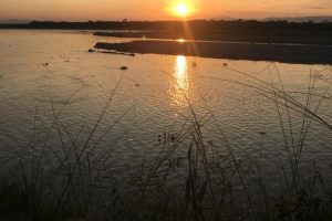 पर्यटक कुर्दै चितवनको गोलाघाट