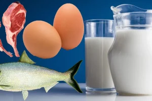 नवलपुर दूध, मासु र अण्डामा आत्मनिर्भर