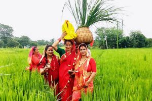 आज गौरा  पर्व : धुमधामका साथ मनाइँदै