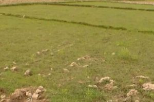 नवलपुरको हुप्सेकोट गाउँपालिकामा खेतीयोग्य जमिन बाँझो राख्न नपाइने