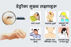 डेङ्गीको सङ्क्रमण देशभर फैलियो, ज्यान गुमाउने पाँचमध्ये दुई जनामा अन्य रोगसमेत पुष्टि