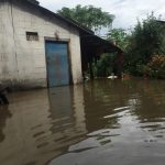 नवलपुरकाे विनयी त्रिवेणीमा ७० घर डुबानमा, दुई सय हेक्टर धान बाली नष्ट