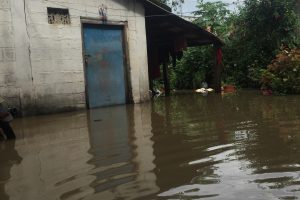 नवलपुरकाे विनयी त्रिवेणीमा ७० घर डुबानमा, दुई सय हेक्टर धान बाली नष्ट