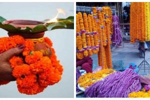 तिहार सकियो, छठ पर्वको रौनक सुरु