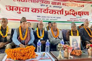 संविधानको रक्षाको निम्ति गठबन्धन अपरिहार्य :  मिनेन्द्र रिजाल