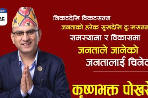 चितवन- २ मा १०० मत गन्दा पाेखरेलकाे ५३ , लामिछानेकाे ५ मत