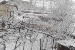 आजको वर्षा र हिमपातको सम्भावना