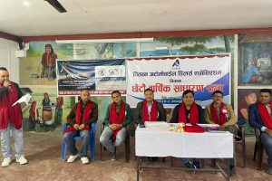 अटोमोवाईल डिलर्स बार्षिक साधारण : चालु पुँजी कर्जा मार्गदर्शन सच्चाउन सरकारसँग  माग