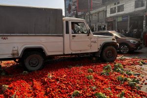 व्यवसाय चौपट भएपछि चितवनका किसानहरुले सडकमै फाले तरकारी (फोटो फिचर)