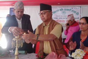गैँडाकोटमा नगर कृषि संजाल गठन