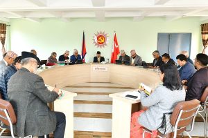 एमालेको स्थायी कमिटी बैठक बस्दै