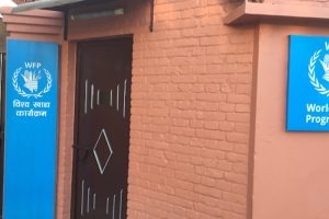 बालबालिकालाई खुवाउन राष्ट्रसंघले नेपाल पठाएको चामल गुणस्तरहीन