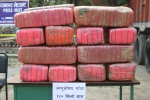 चितवनमा  १८० किलो गाँजा सहित भारतीय नागरिक पक्राउ