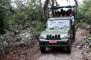 वन्यजन्तु अवलोकनको नयाँ गन्तव्य बन्दै पिप्रहर