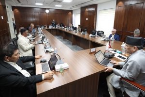 नागरिकता विधेयक प्रमाणीकरणका लागि राष्ट्रपतिसमक्ष पठाउने मन्त्रिपरिषद्को निर्णय