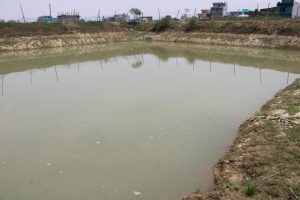 माछा पोखरीमा डुवेर नवलपरासीमा दिदीकाे मृत्यु ,बहिनीकाे अवस्था गम्भिर