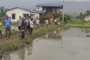 गैडाकोटमा खेतमा डुबेर ७० वर्षीय बृद्धको मृत्यु