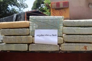 चितवनमा ७० किलो गाँजासहित २ जना पक्राउ