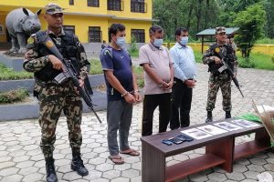 चितवन राष्ट्रिय निकुञ्ज क्षेत्रभित्र गैँडा मारेको अभियोगमा तीन जना पक्राउ