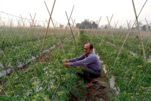 प्राङ्गारिक खेती अभियानमा न्यौपाने