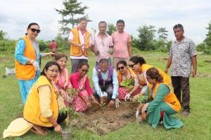 माडीको थारु संग्राहलय परिसरमा लायन्सले रोप्यो फलफूलका बिरुवा