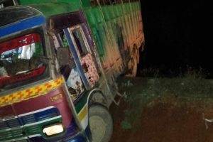 नवलपुरमा भैँसी/ पाडा बोकेको ट्रक दुर्घटना