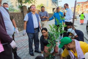 भरतपुरमा हरियाली प्रवर्द्धनका लागि पाँच करोड बजेट विनियोजन