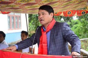 सुन प्रकरणमा पूर्वउपराष्ट्रपतिका छोरा दिपेश पुन पक्राउ