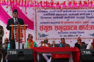  गठबन्धन भत्काउने षड्यन्त्रलाई निस्तेज पारिएको छ : ‘प्रचण्ड’