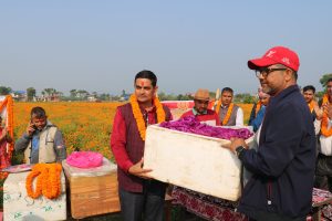 पहिलो पटक सयपत्री फूल हङकङ निर्यात गर्दै चितवन कालिकाका किसान