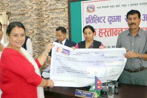 दश हजार किसानलाई दूधमा अनुदान दिँदै भरतपुर महानगरपालिका