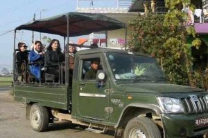 रत्ननगर महोत्सव : पर्यटन विकासका लागि धार्मिक जिप सफारी सञ्चालन