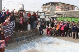 सडकमै दूध पोखेर चितवनका किसानले मागे कृषि मन्त्रीको राजीनामा