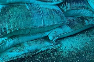 नवलपरासीको महेशपुर भन्सारको गोदाममै सड्यो करोडौँको चिनी