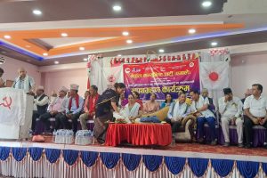 एमालेलाई बलियो शक्तिको रुपमा स्थापित गर्न उपमहासचिव ज्ञवालीको निर्देशन