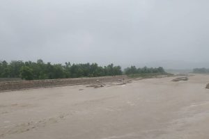 चितवनको माडीमा खोलाले बगाएर एक पुरुष बेपत्ता