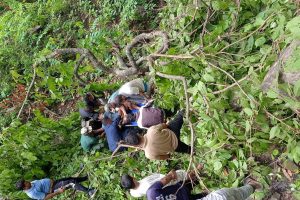 रुखबाट लडेर गैँडाकोटको ढोडेनीमा एक पुरुष घाइते