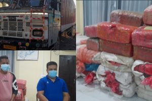 नवलपरको देवचुलीबाट ७ सय ६९ किलो गाँजा सहित दुई पक्राउ