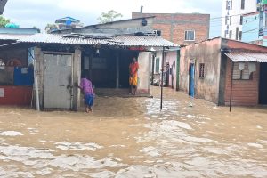 गैँडाकोटमा नारायणी किनारका २ दर्जन घरहरु डुवानमा (तस्विरहरु)