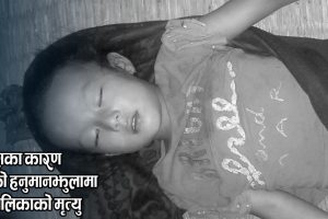 सर्पले डसेर चितवनको माडीमा एक बालिकाको मृत्यु