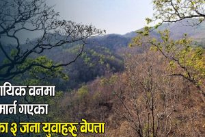 सामुदायिक वनमा माछा मार्न गएका माडीका ३ जना युवाहरु बेपत्ता