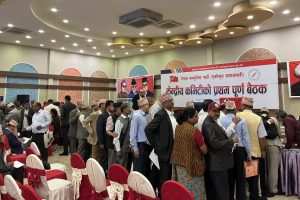 नेकपा एसमा पदाधिकारी र पोलिटब्युरो चुन्न निर्वाचन प्रक्रिया सुरु