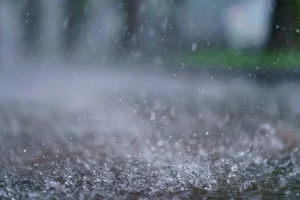 पछिल्लो चौबिस घन्टामा चितवनमा देवघाटमा २२४.६ मिलिमिटर वर्षा