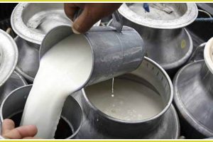 हुप्सेकोटमा दूध उत्पादक किसानलाई प्रतिलिटर दूधमा २० रुपैयाँ अनुदान