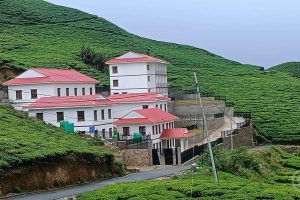 कन्याममा ‘टि टेस्टिङ एण्ड प्रोमोसन सेन्टर’ सञ्चालन हुँदै