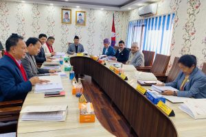 चितवनमा निर्माणाधीन रंगशाला निर्माणका लागि बागमती प्रदेश सरकारले १० करोड रुपैयाँ दिने