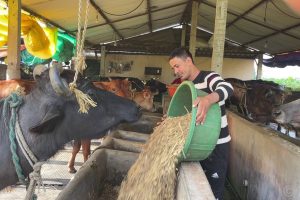 गैँडाकोटका कृषक पौडेल – दुध वेचेरै कमाउछन् मासिक डेढलाख